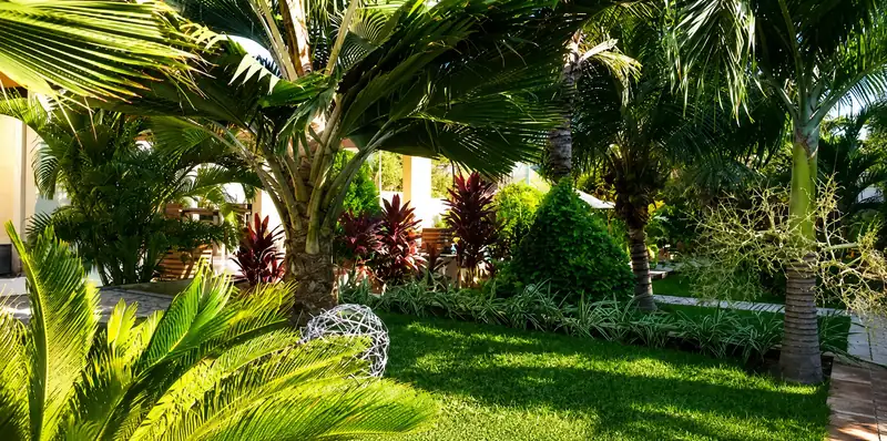 Jardim tropical e assentos externos à sombra no Ravenala Hotel Boutique